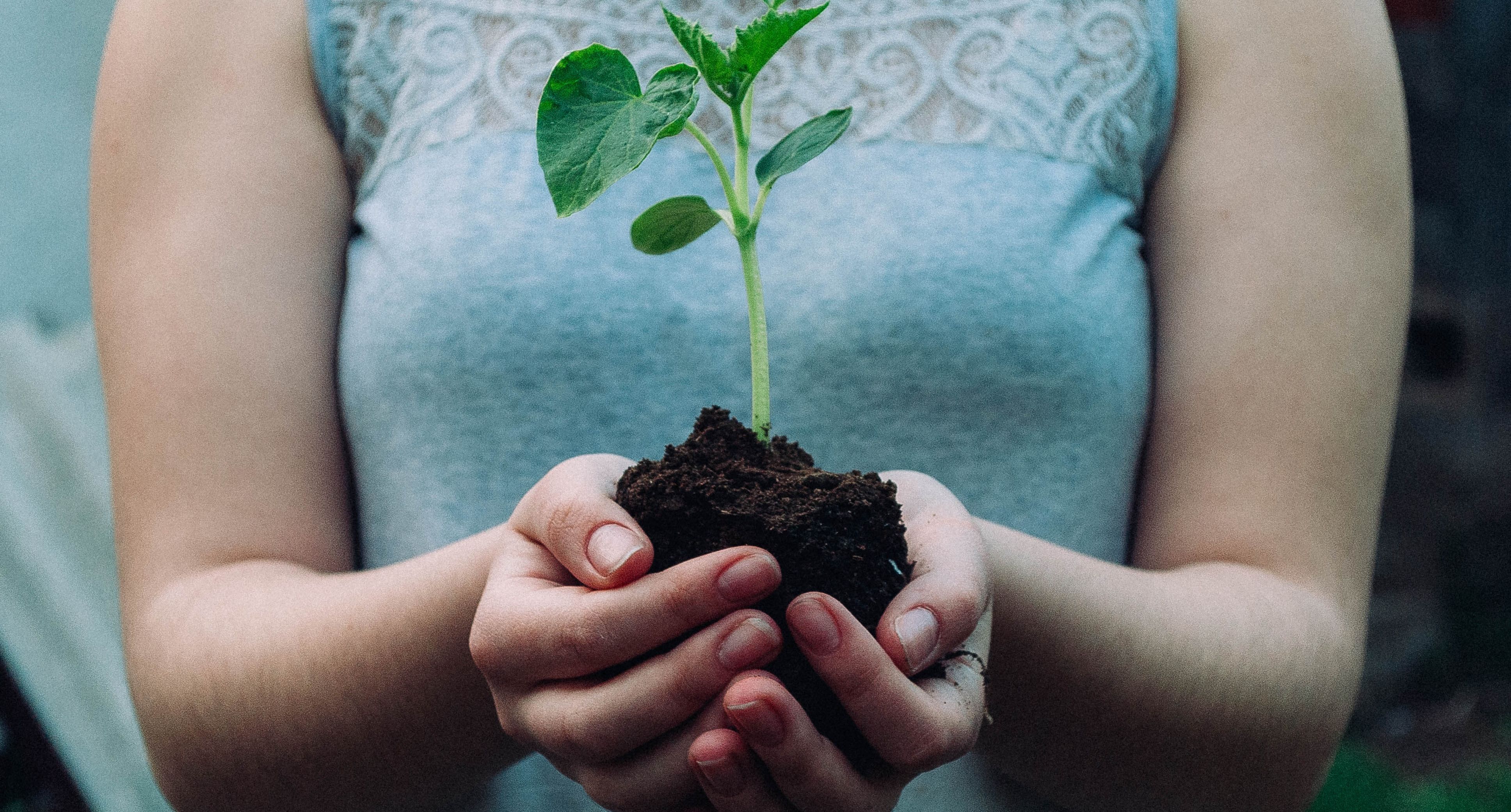 Consumo consciente e sustentável