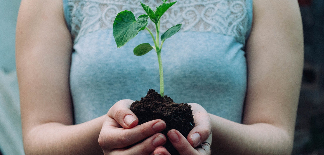 Consumo consciente e sustentável